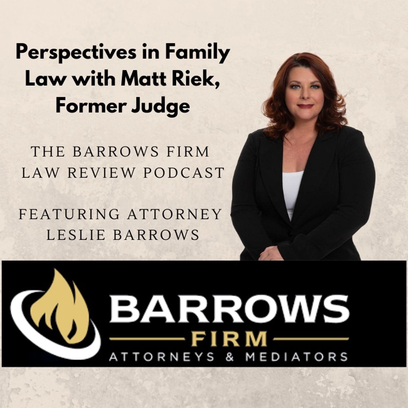 Perspectives in Family Law with Matt Riek, Former Judge episode artwork