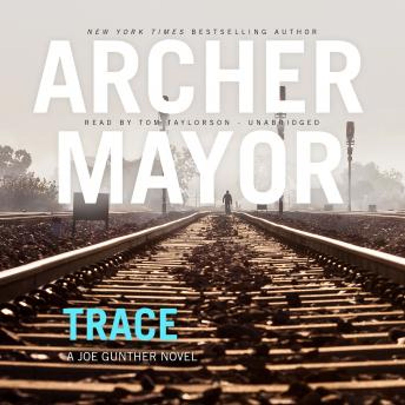 Trace: A Joe Gunther Novel by Archer Mayor episode artwork