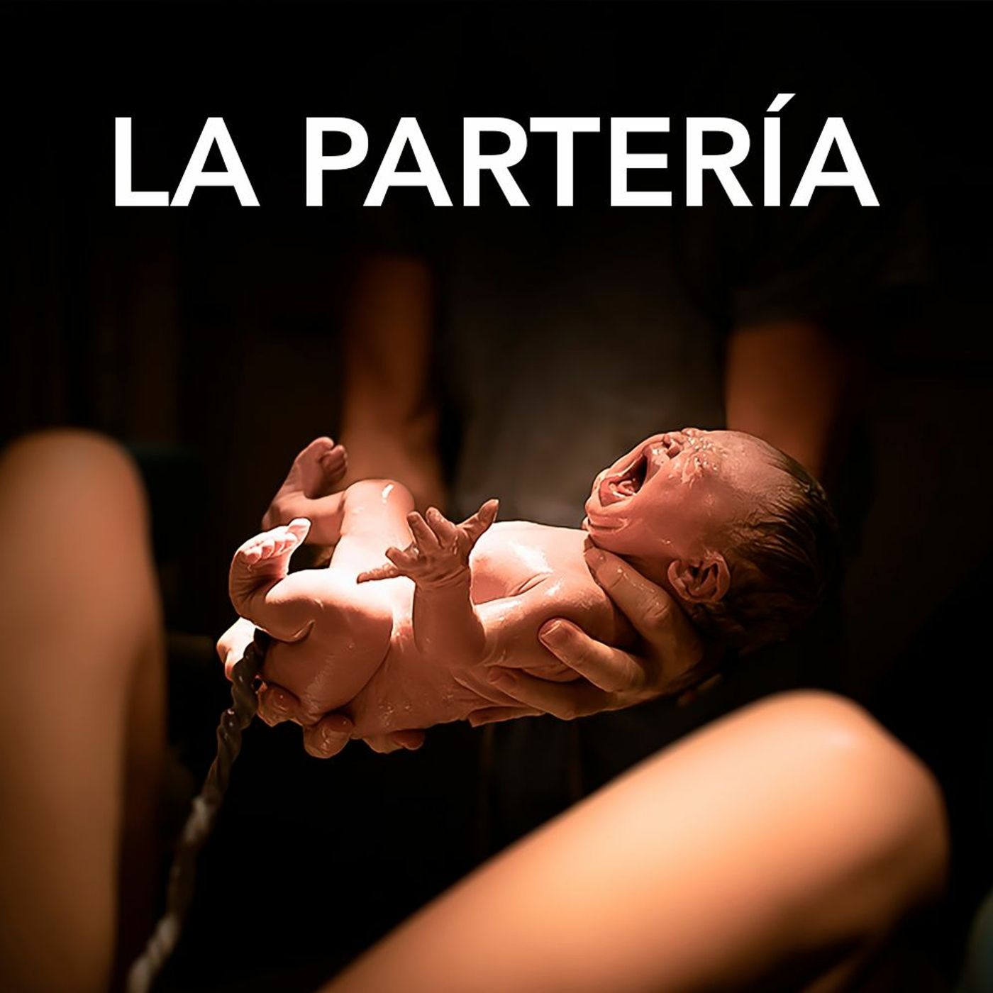 La partería | Desafíos RCN-Javeriana episode artwork