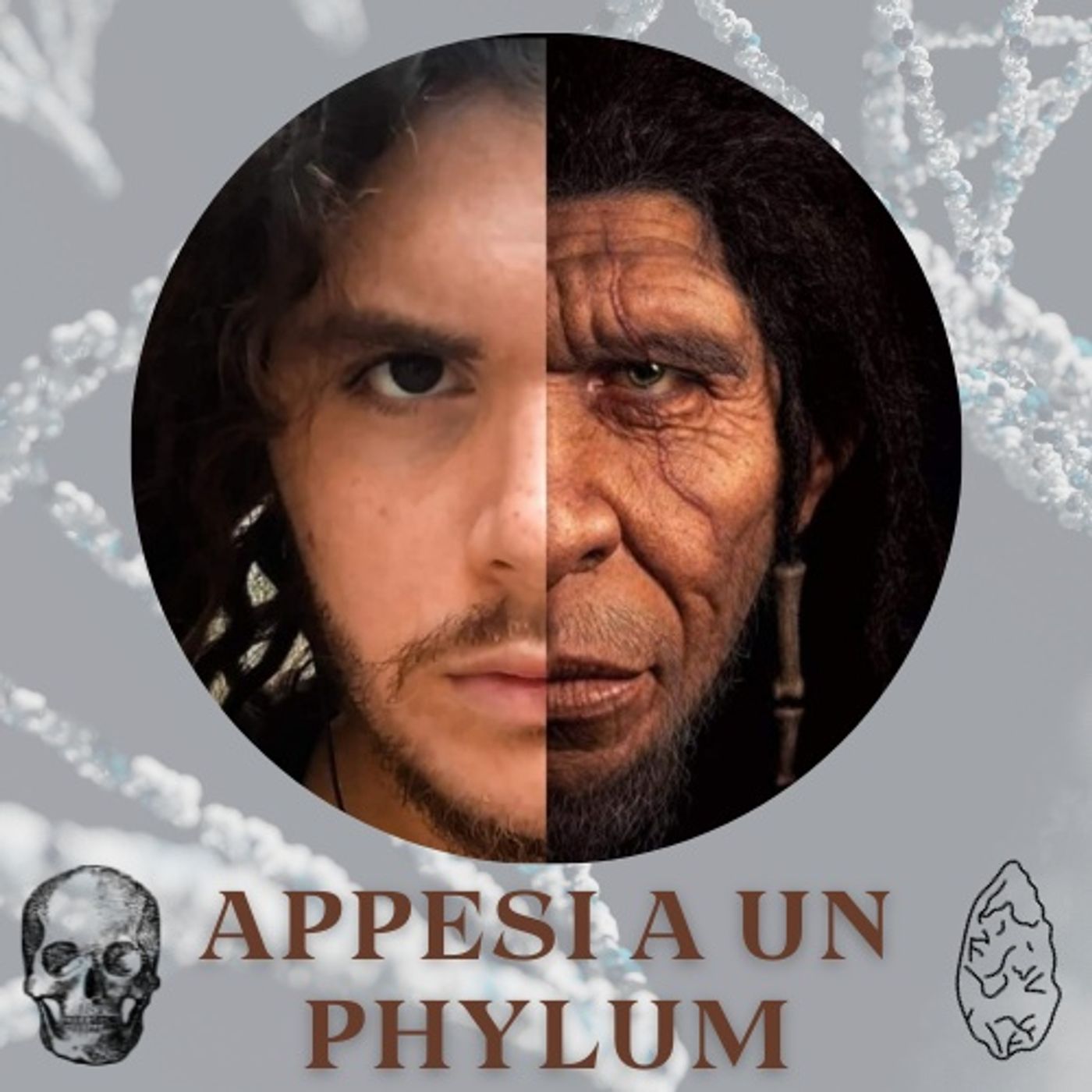 Appesi a un Phylum: parliamo un po' di evoluzione umana (e non solo!)