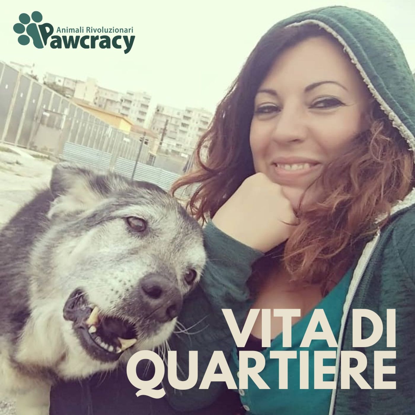 PAW 1x05: VITA DA QUARTIERE