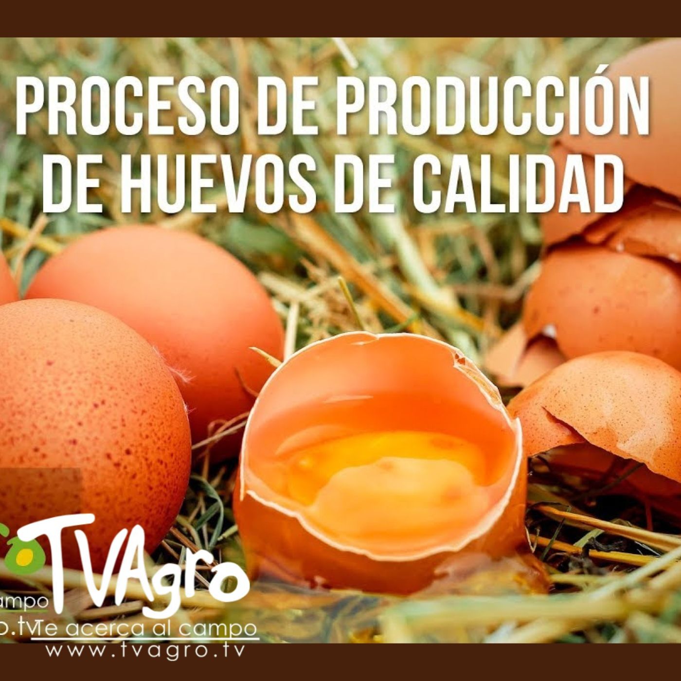 TV AGRO