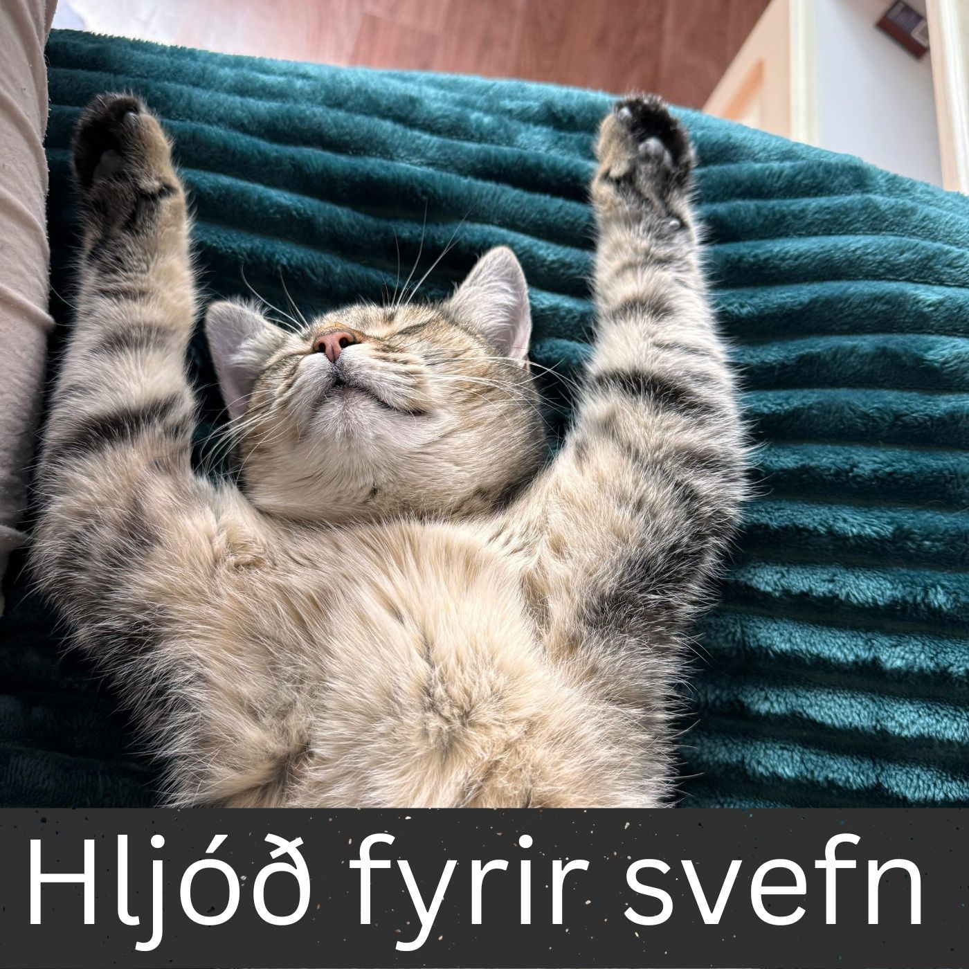 Hljóð fyrir svefn cover art