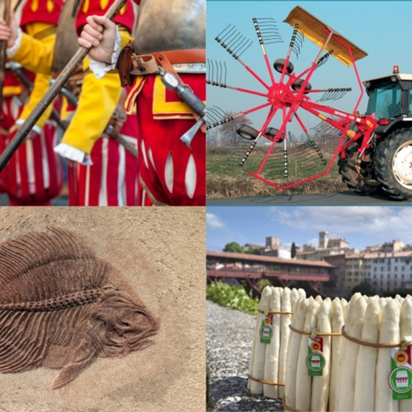 Rievocazioni storiche, macchine agricole, fossili e asparagi: ecco gli eventi del weekend episode artwork
