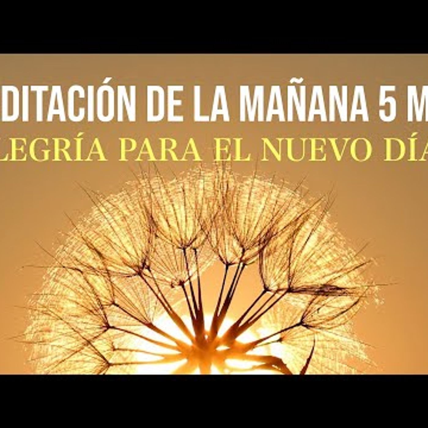 113. Meditación Corta de la Mañana para Abrirse al nuevo día Hazla todos los días!!