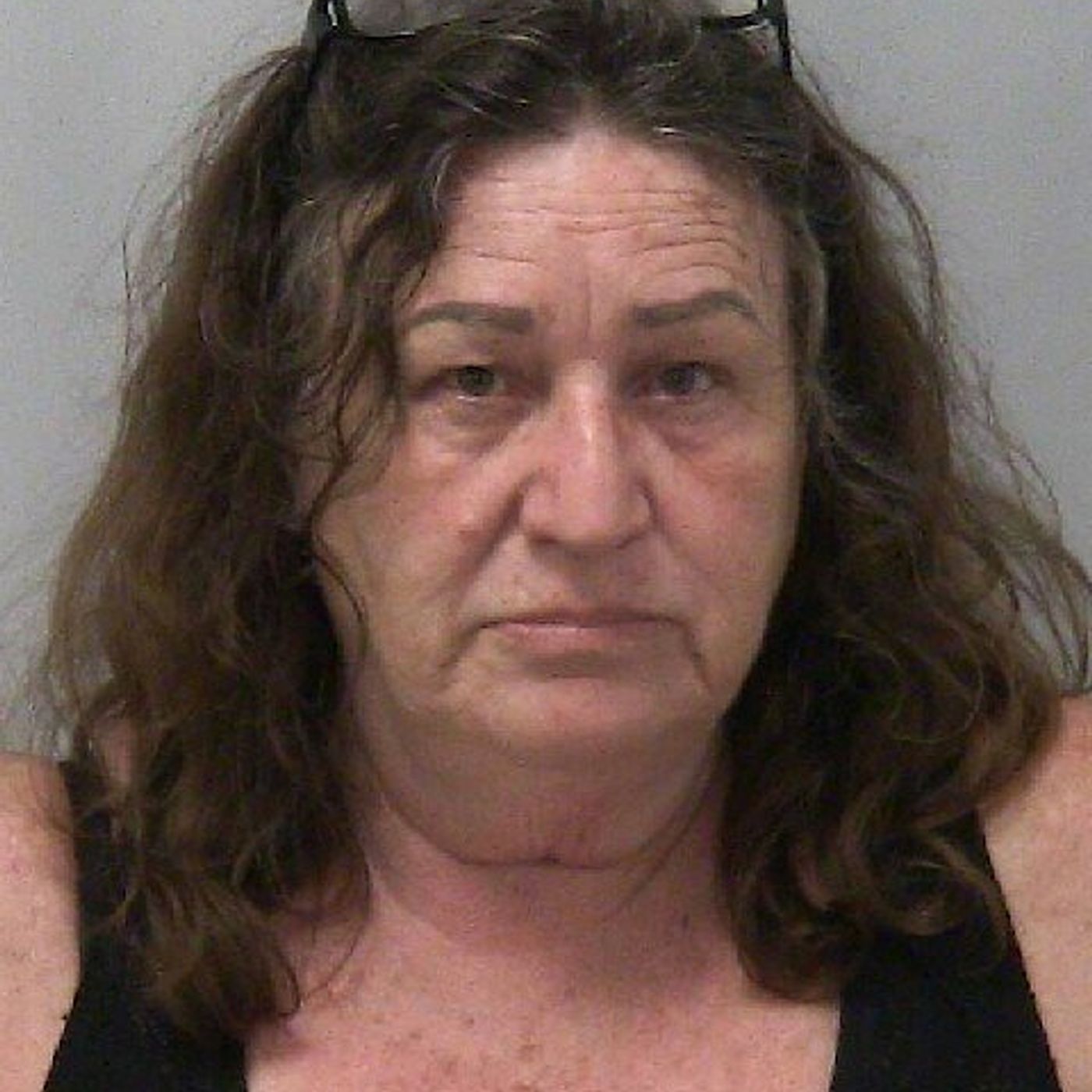 Amboy woman, wanted on drug-related warrant, charged with more drug offenses after Dixon traffic stop episode artwork