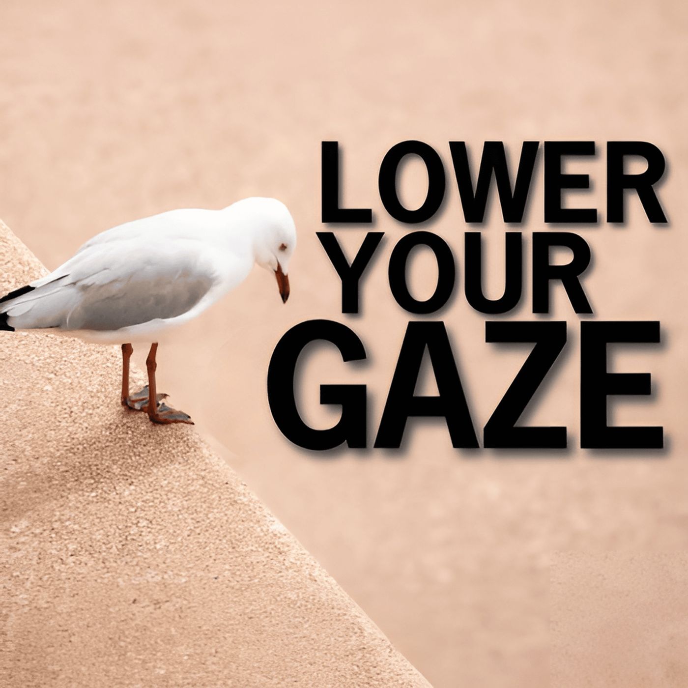 Lower Your Gaze | Mufti Menk Podcast