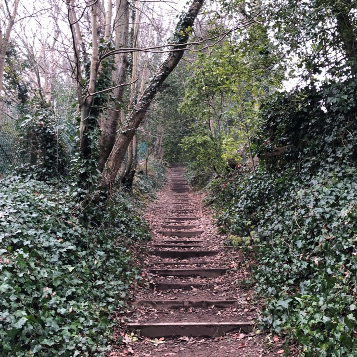 Jack The Ripper: Reported speech