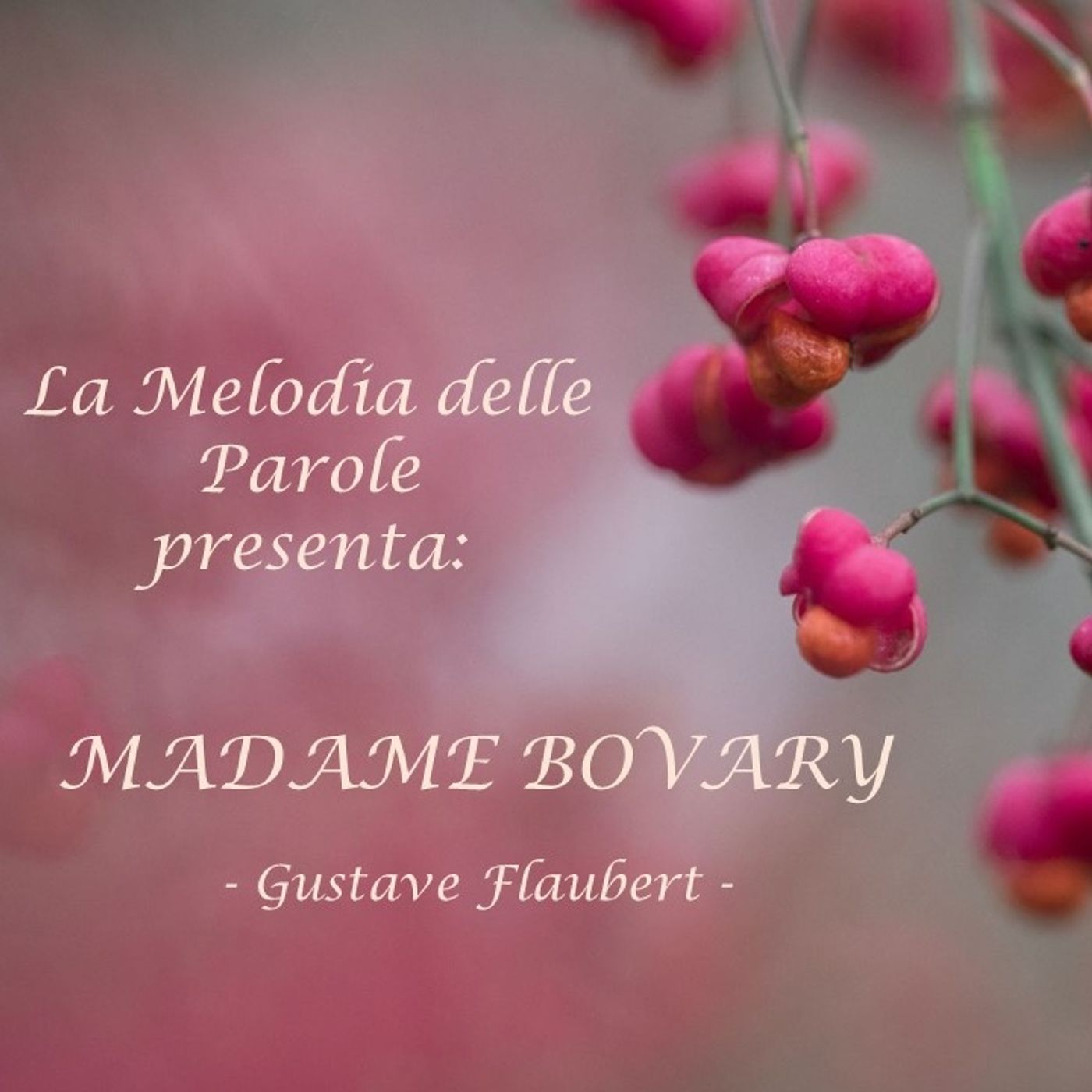 Madame Bovary - AUDIOLIBRO