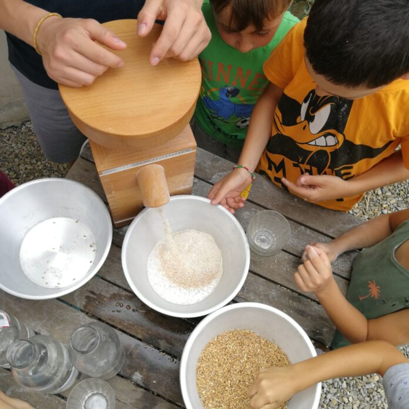Cereali Resilienti.