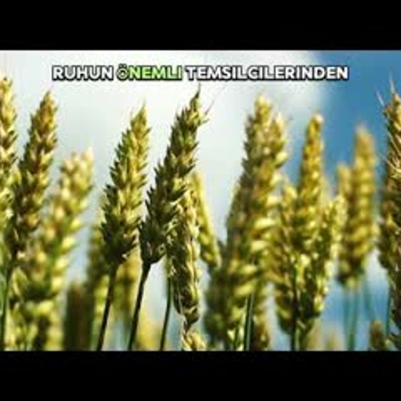 Mevlânâ Celâleddîn er Rûmî - Beyan Sesli Kitap Fethullah Gülen #17