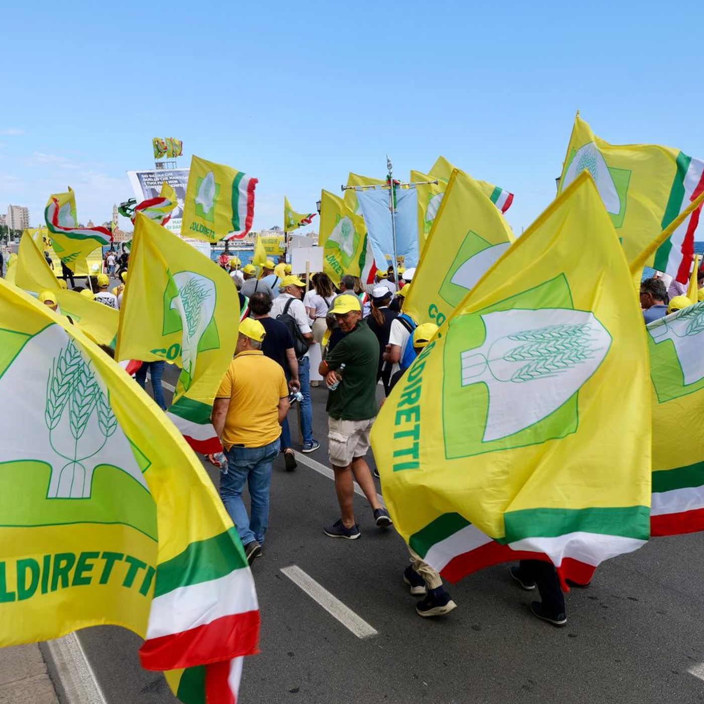 Mimmo Moramarco Ilmimmo