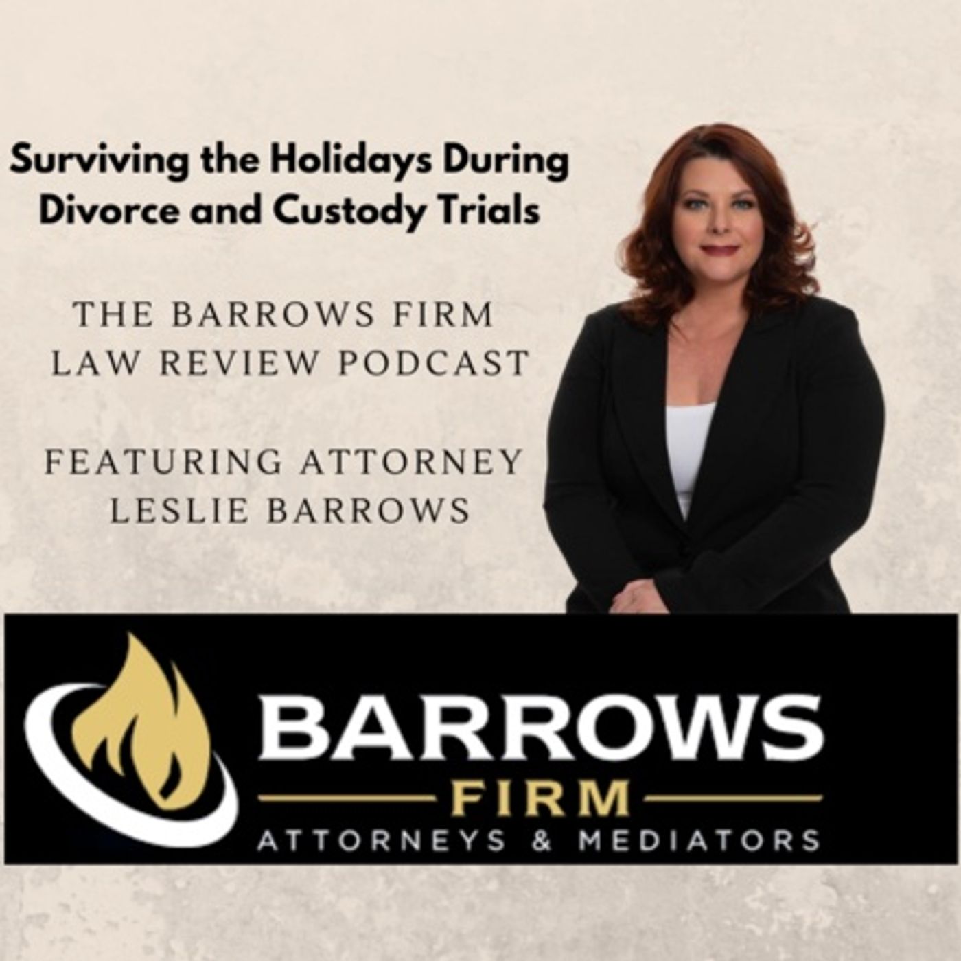 Surviving the Holidays During Divorce and Custody Trials: Tips for Families episode artwork