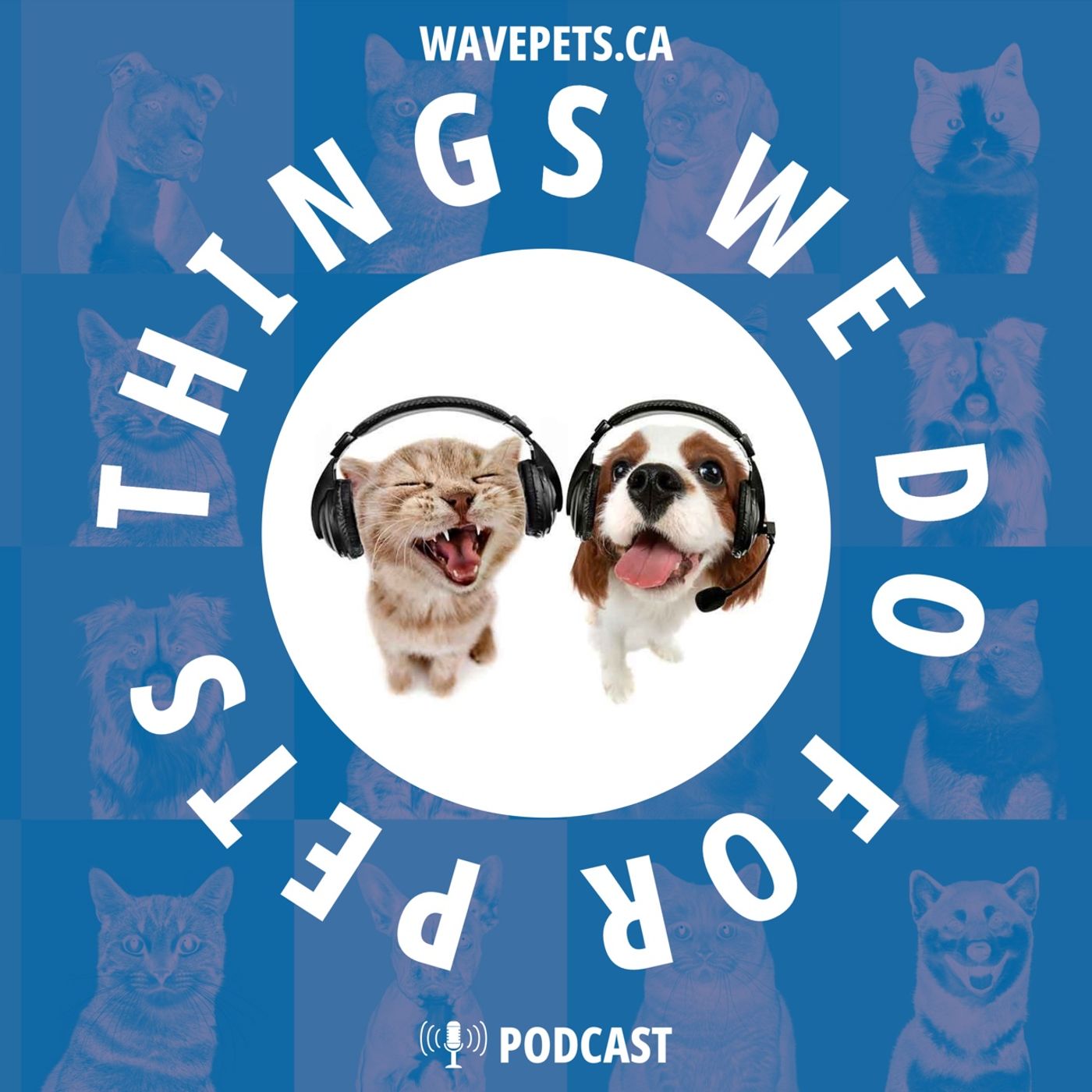 Things We Do For Pets