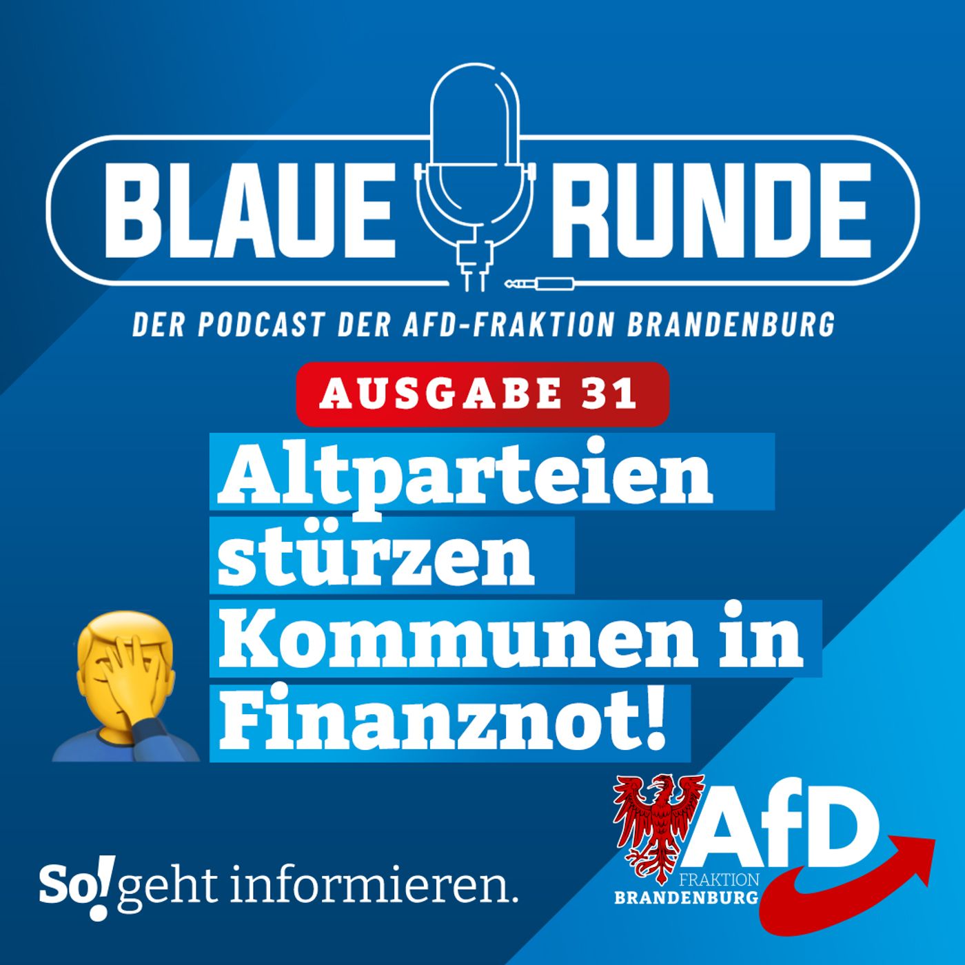 Altparteien stürzen Kommunen in Finanznot! | Die Blaue Runde, Ausgabe 31/24 vom 15.05.2024 episode artwork