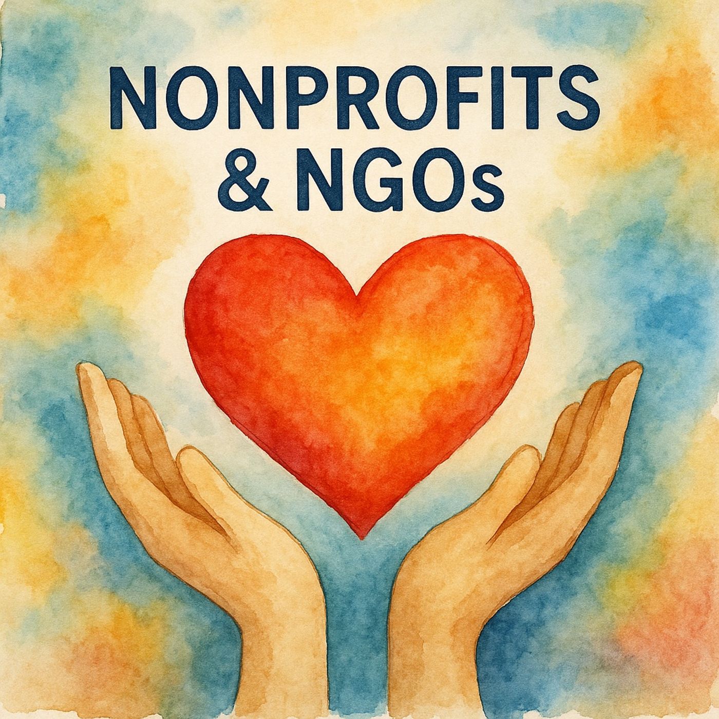 Nonprofits & NGOs: The Heart That Fills the Gaps episode artwork