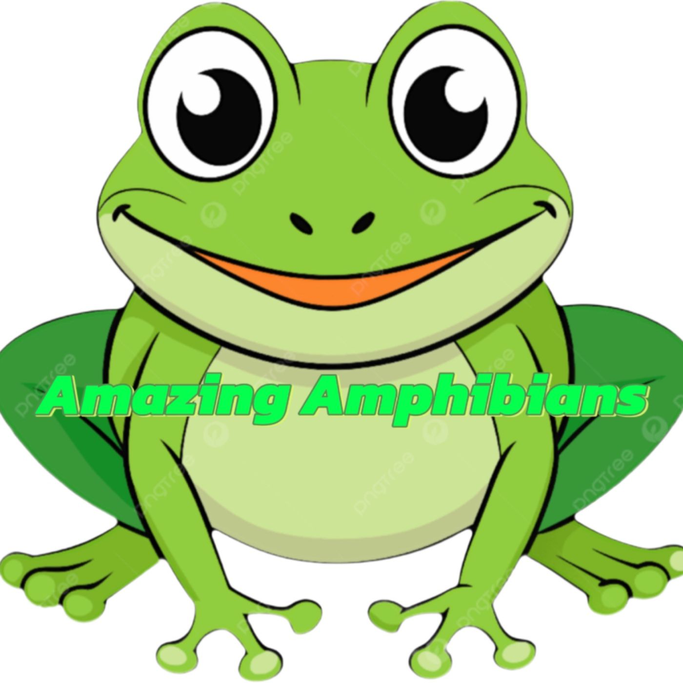 Amazing Amphibians
