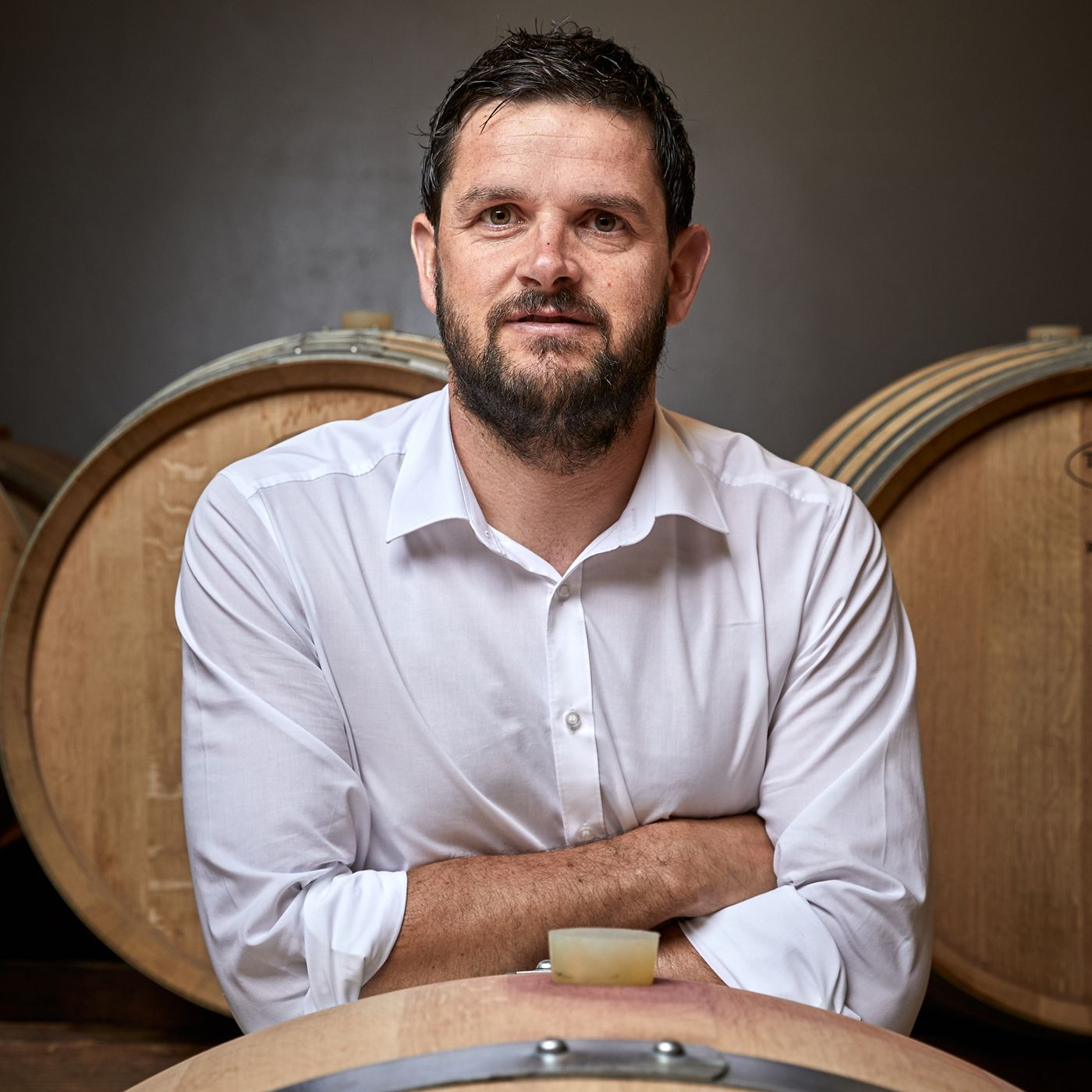 Maestri del vino italiano