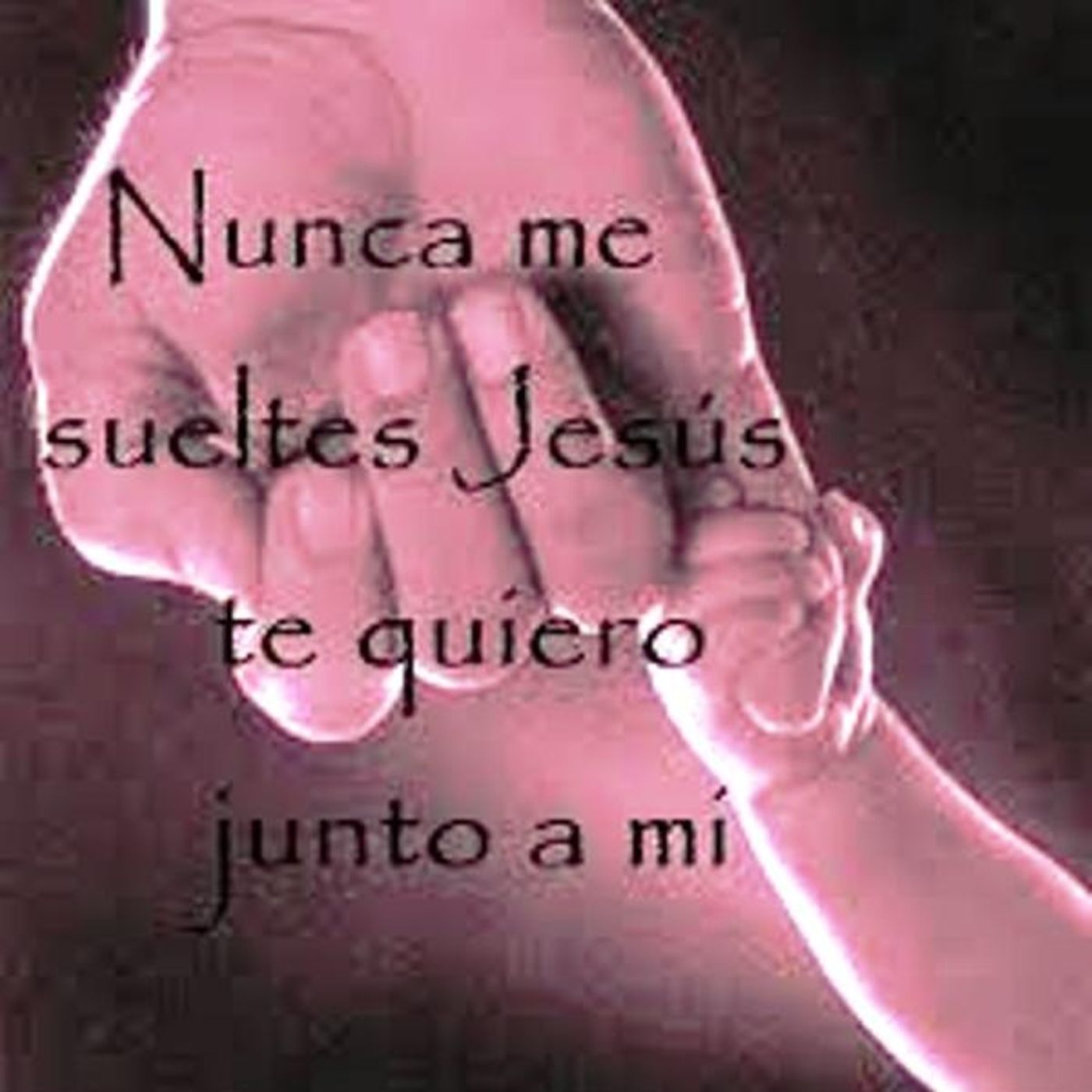 GLADYS (SEUDONIMO :FLORDELIZARGENTINA)