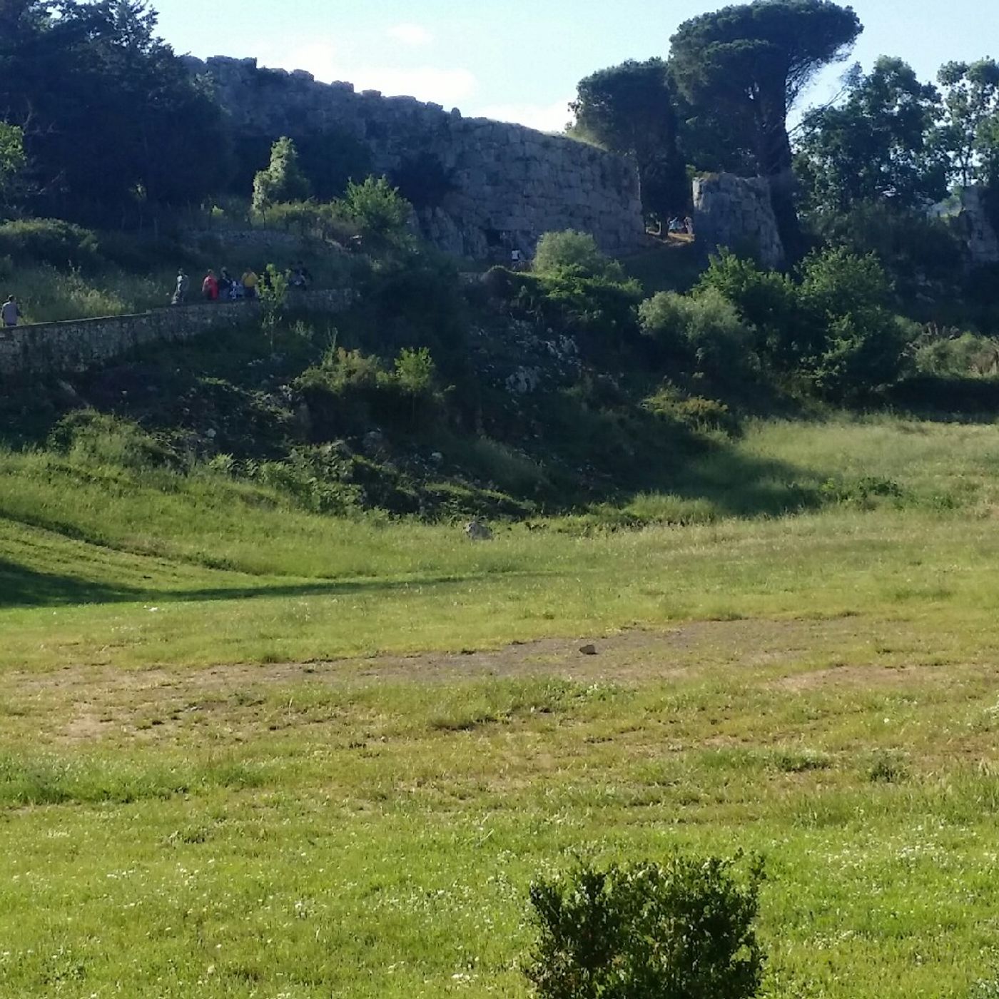 Opinioni 2E Campo Scuola/1^ Parte