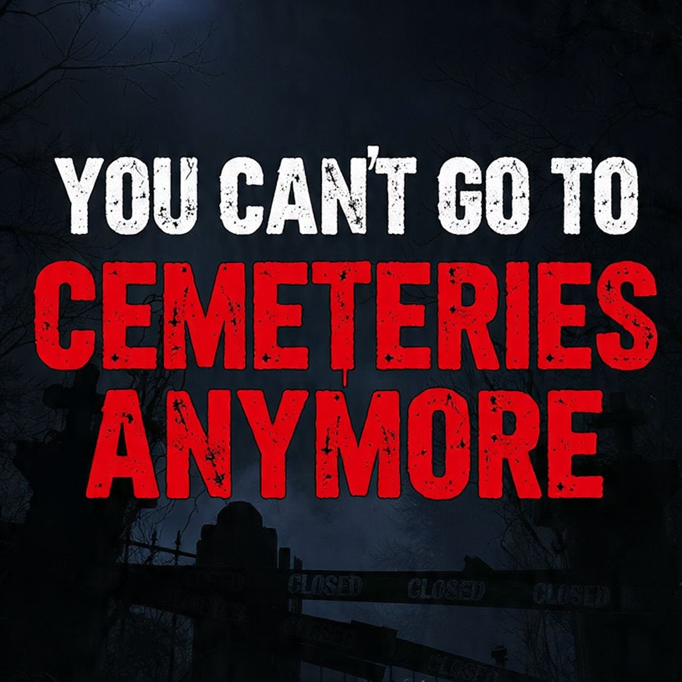 You Can't Go To Cemeteries Anymore episode artwork