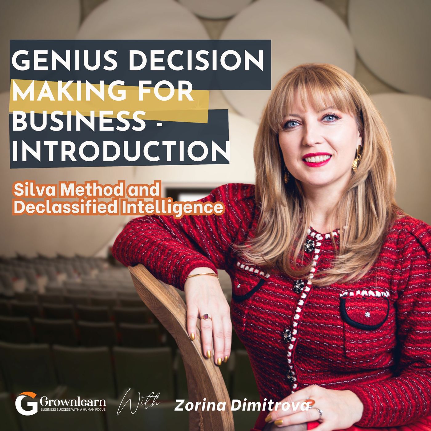 Introduction to Genius Decision Making for Business | Silva Method and Declassified Intelligence episode artwork