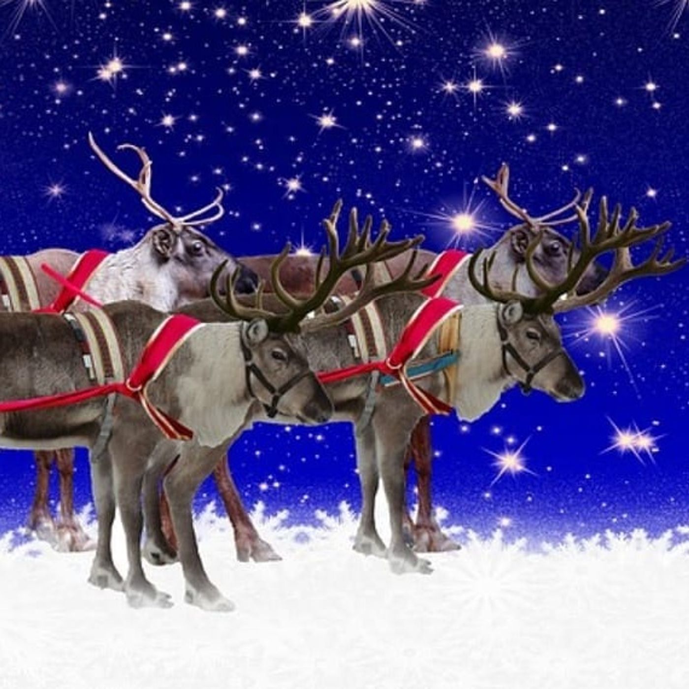 De Rendieren Van De Kerstman | Kerstverhalen episode artwork