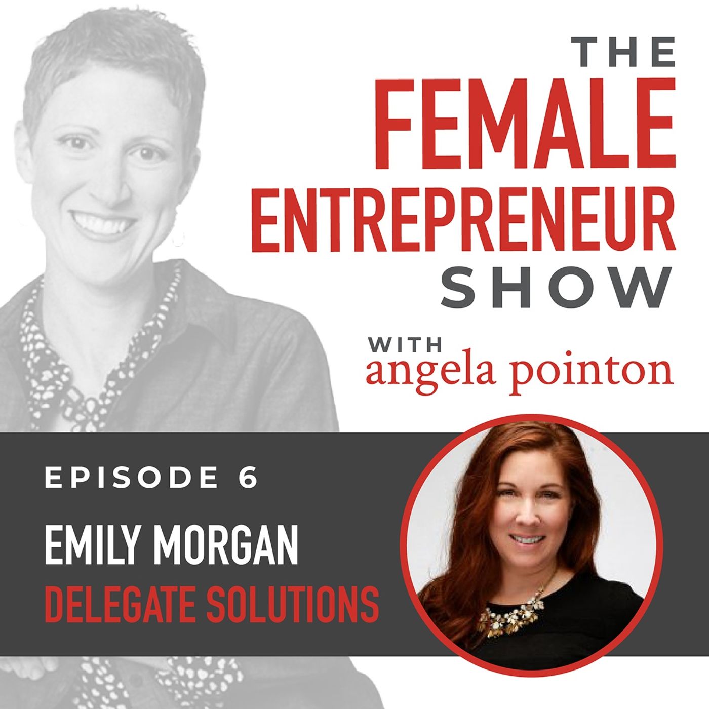 The Female Entrepreneur Show