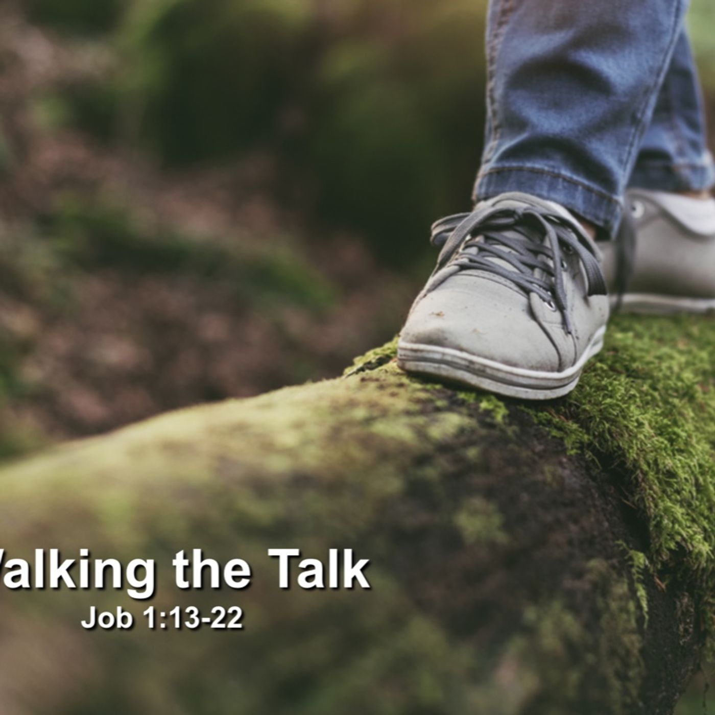 Walking The Talk by Pastor Steve Smith episode artwork