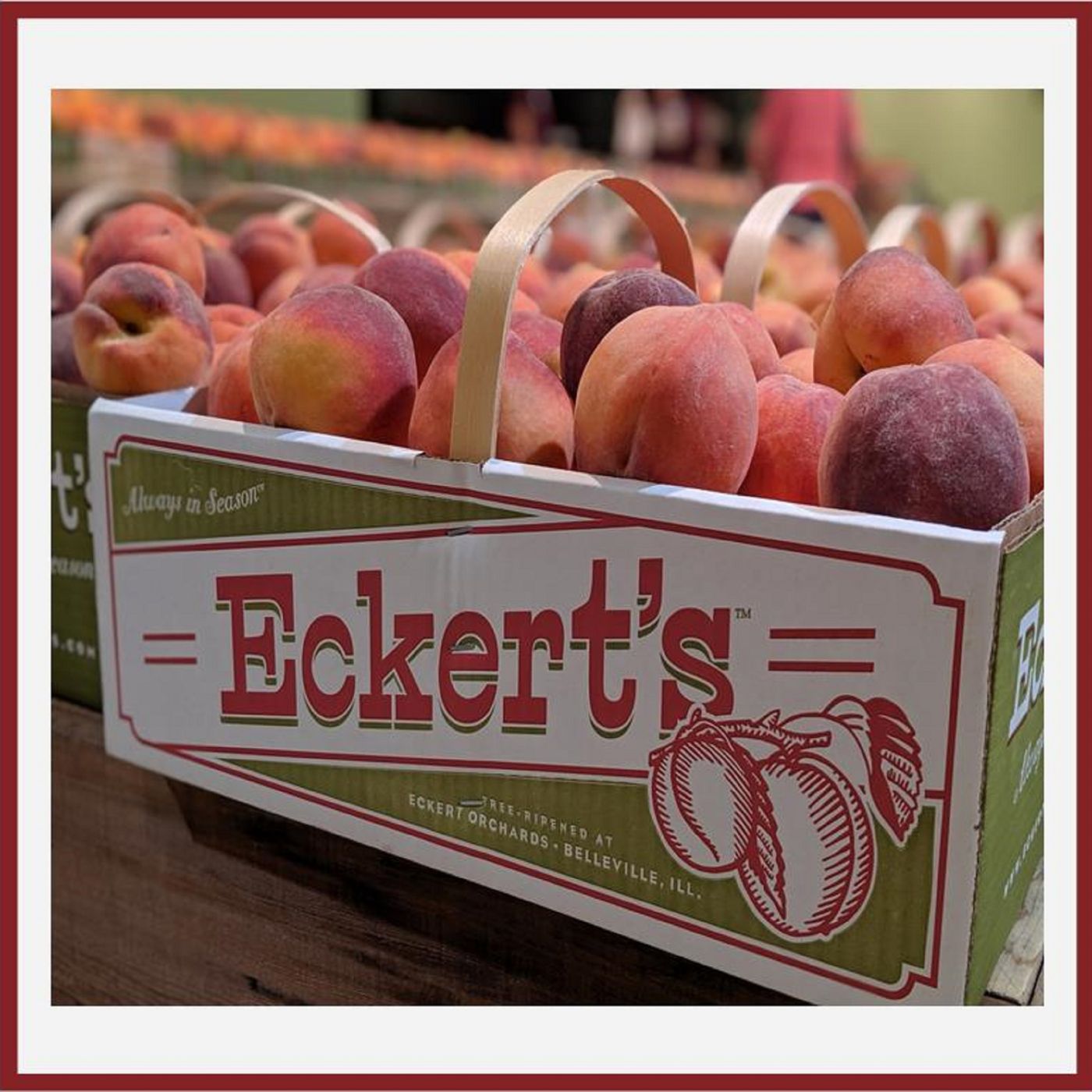 Harvesting Memories: The Evolution of Farming and Family Entertainment at Eckert's Orchards episode artwork