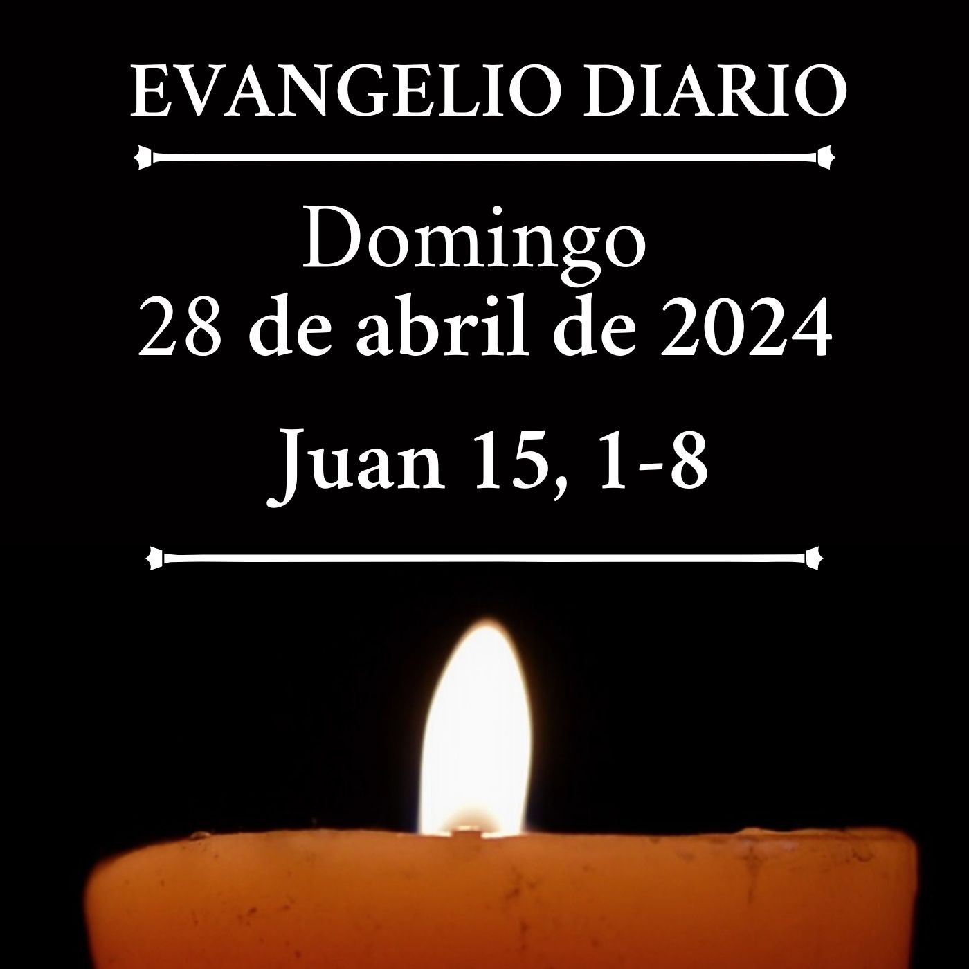 Evangelio del domingo 28 de abril de 2024 (Juan 15, 1-8) – Evangelio ...