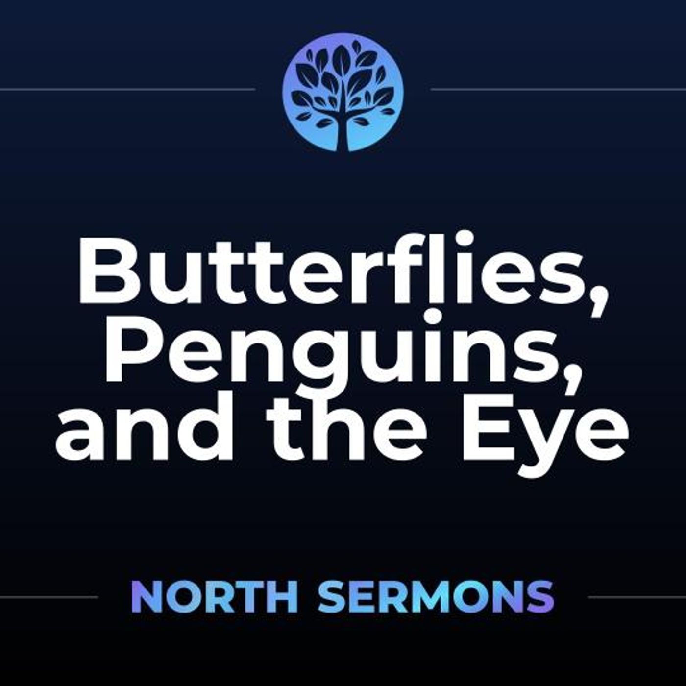 Butterflies, Penguins and the Eye episode artwork