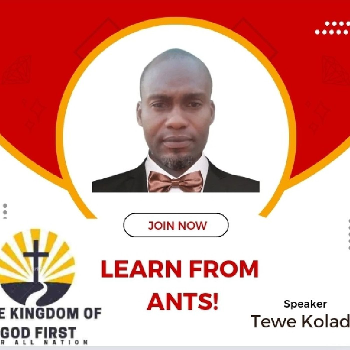 LEARN FROM ANTS!