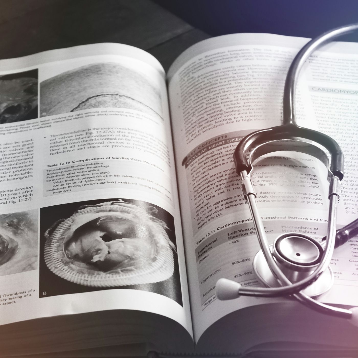 Voces que transforman la medicina