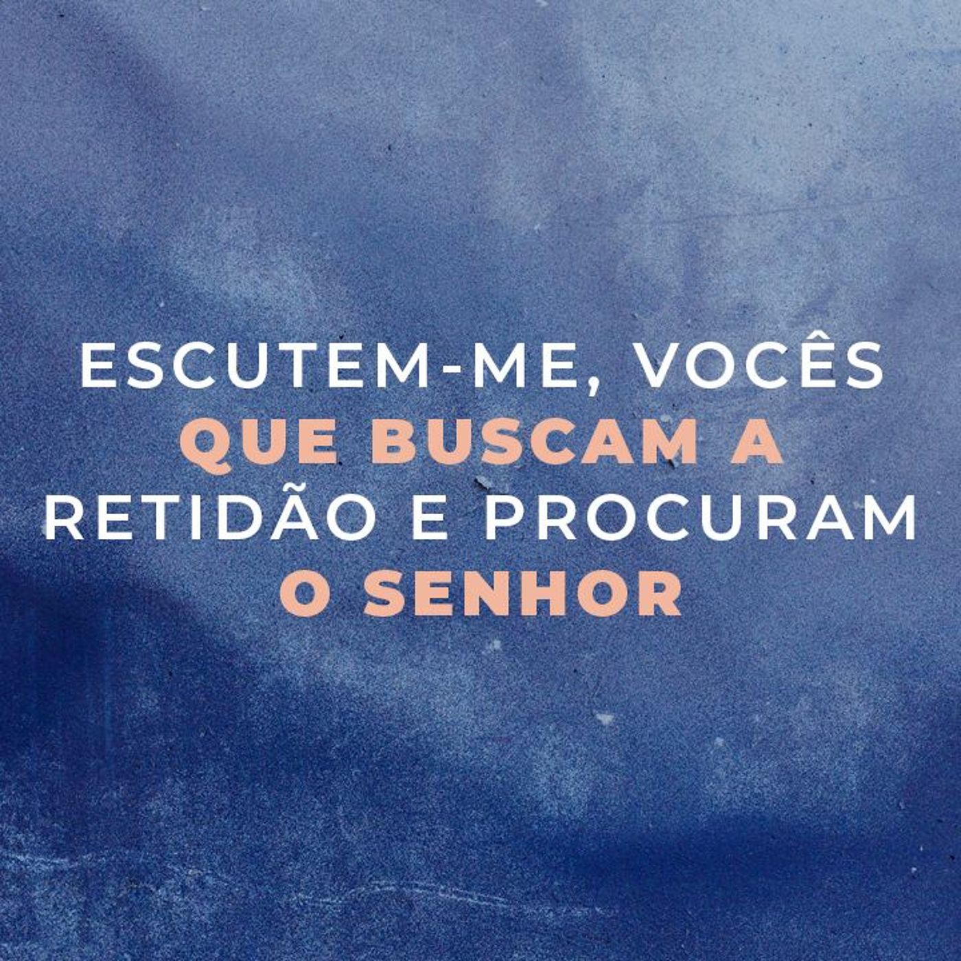 IEVY OFICIAL