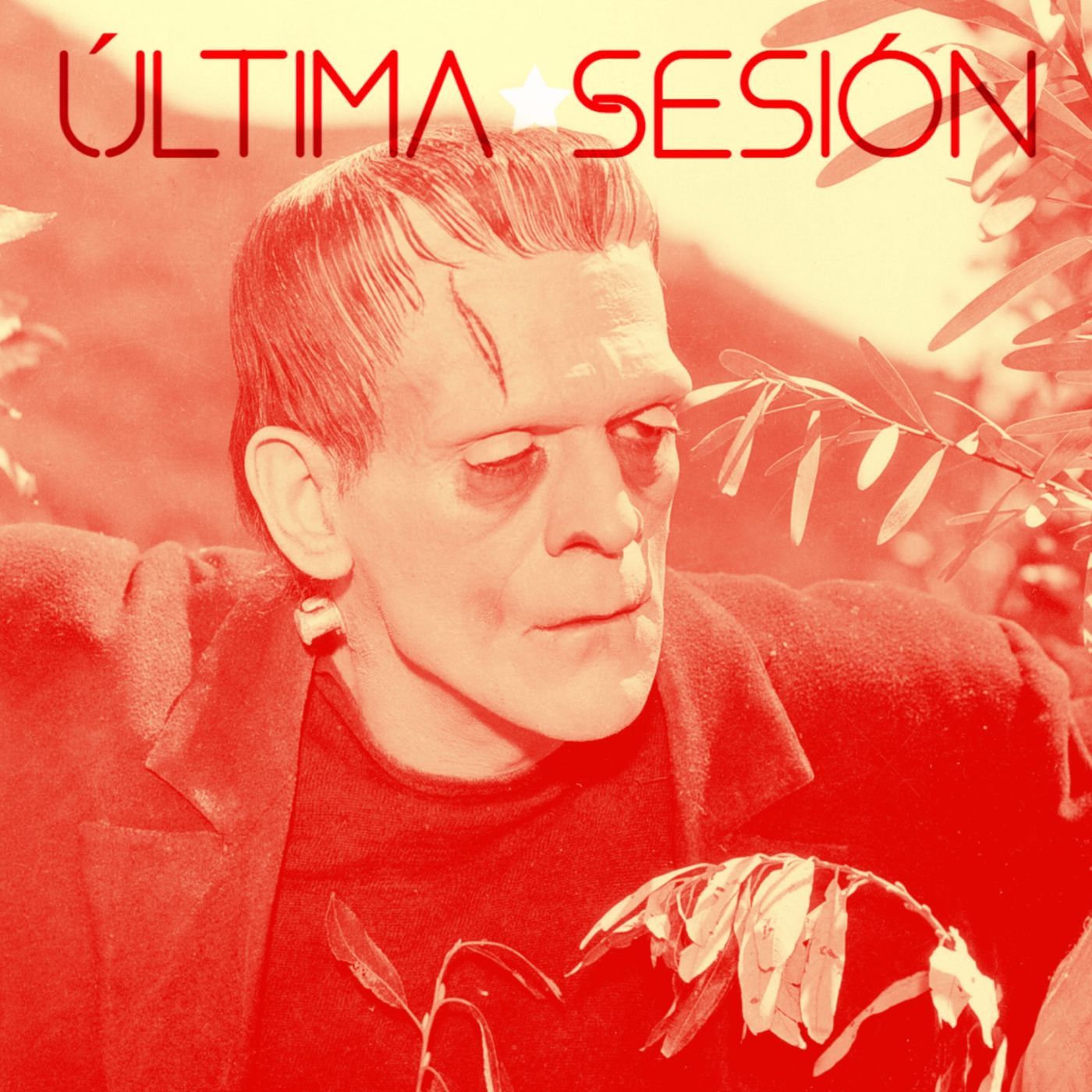 Última Sesión