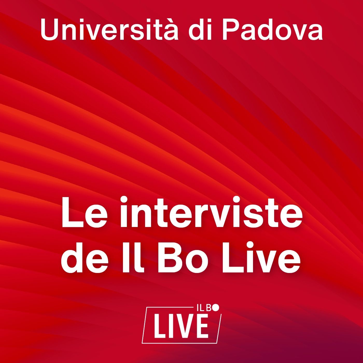 Le interviste - Il Bo Live podcast artwork