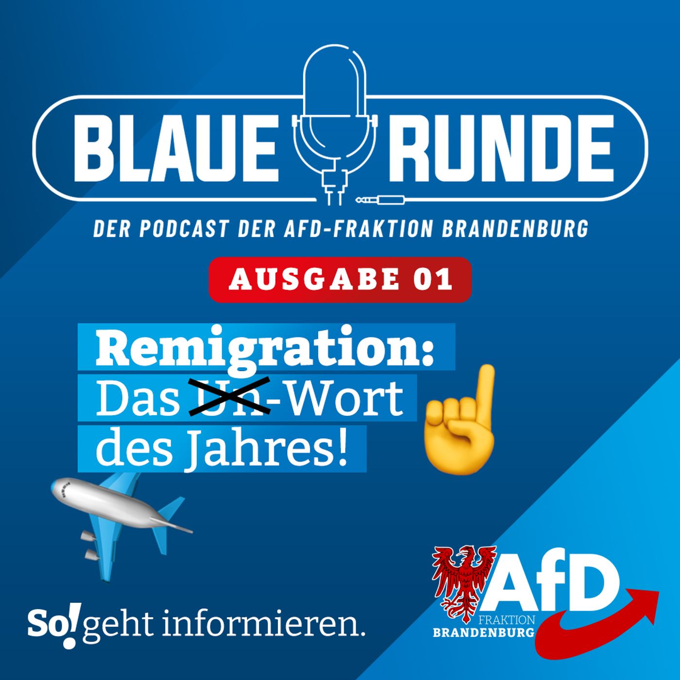Remigration - das Wort des Jahres! | Die Blaue Runde, Ausgabe 01/24 vom 16.01.2024 episode artwork