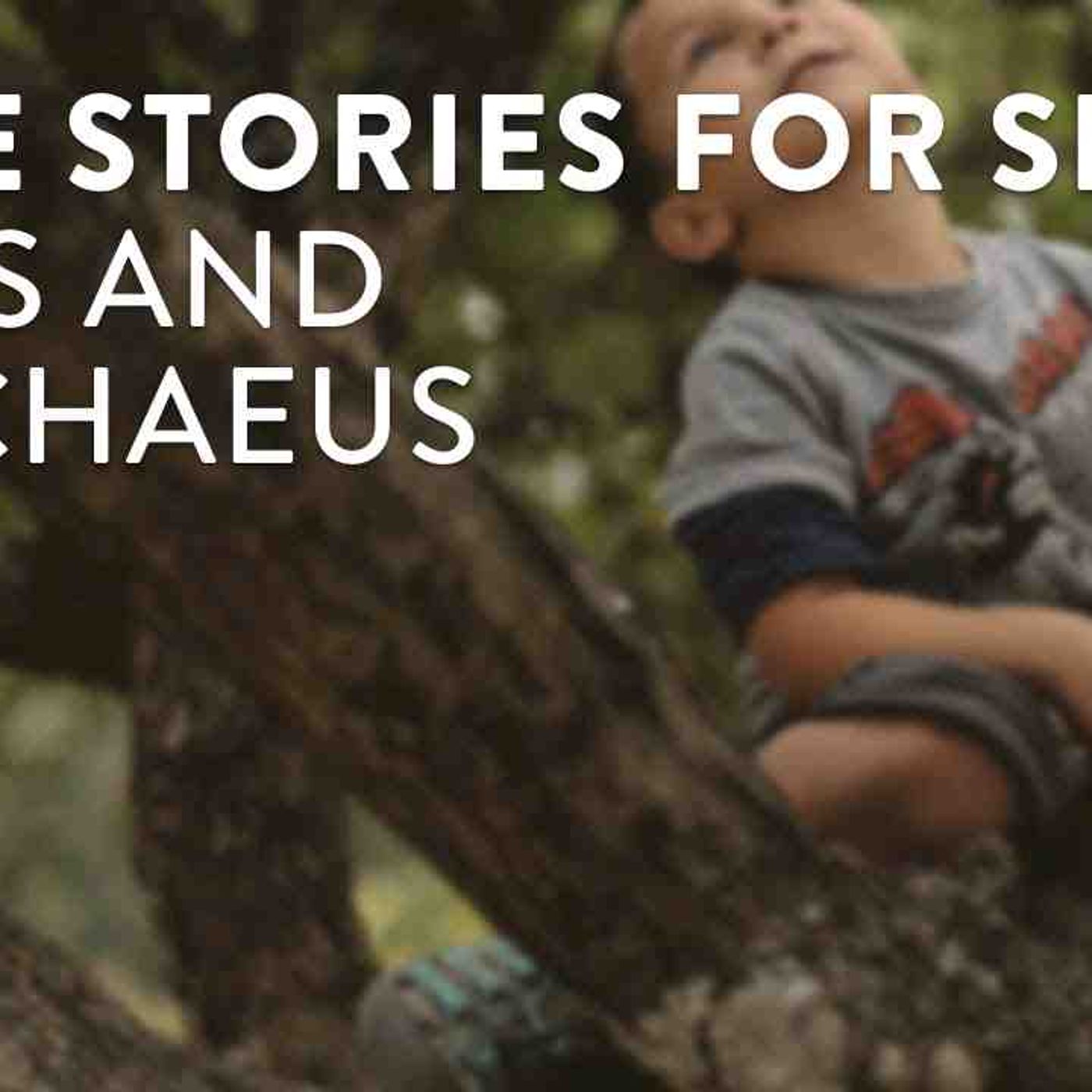Bible Stories for Sleep_ Jesus and Zacchaeus episode artwork