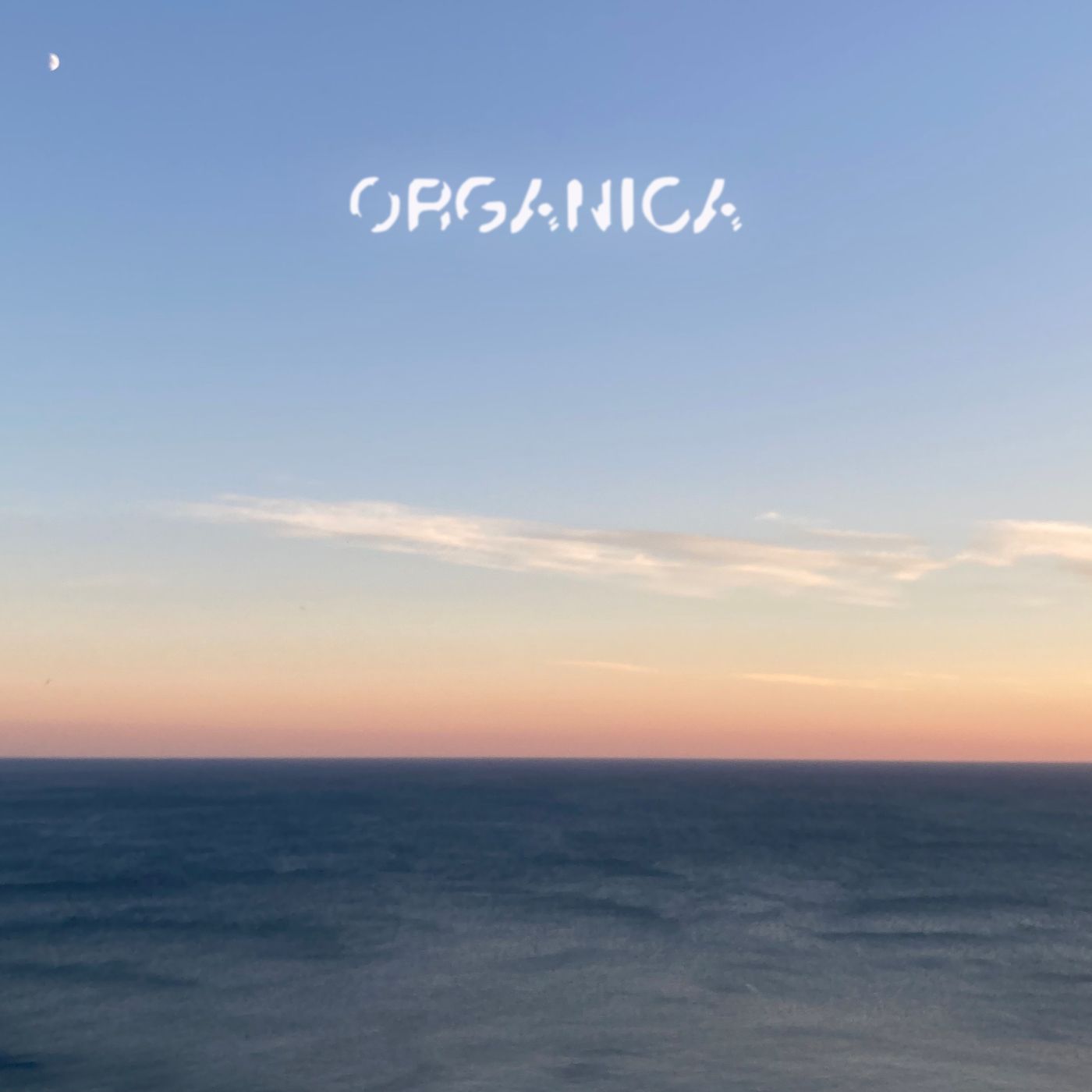 Organica - Dolcemente Elettronica