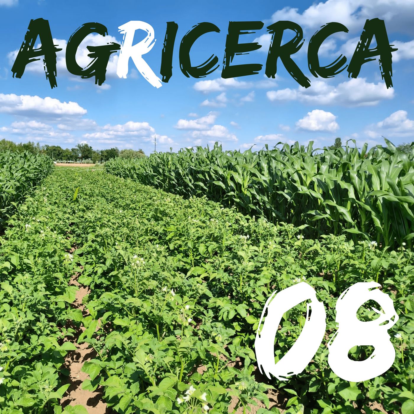 agRicerca