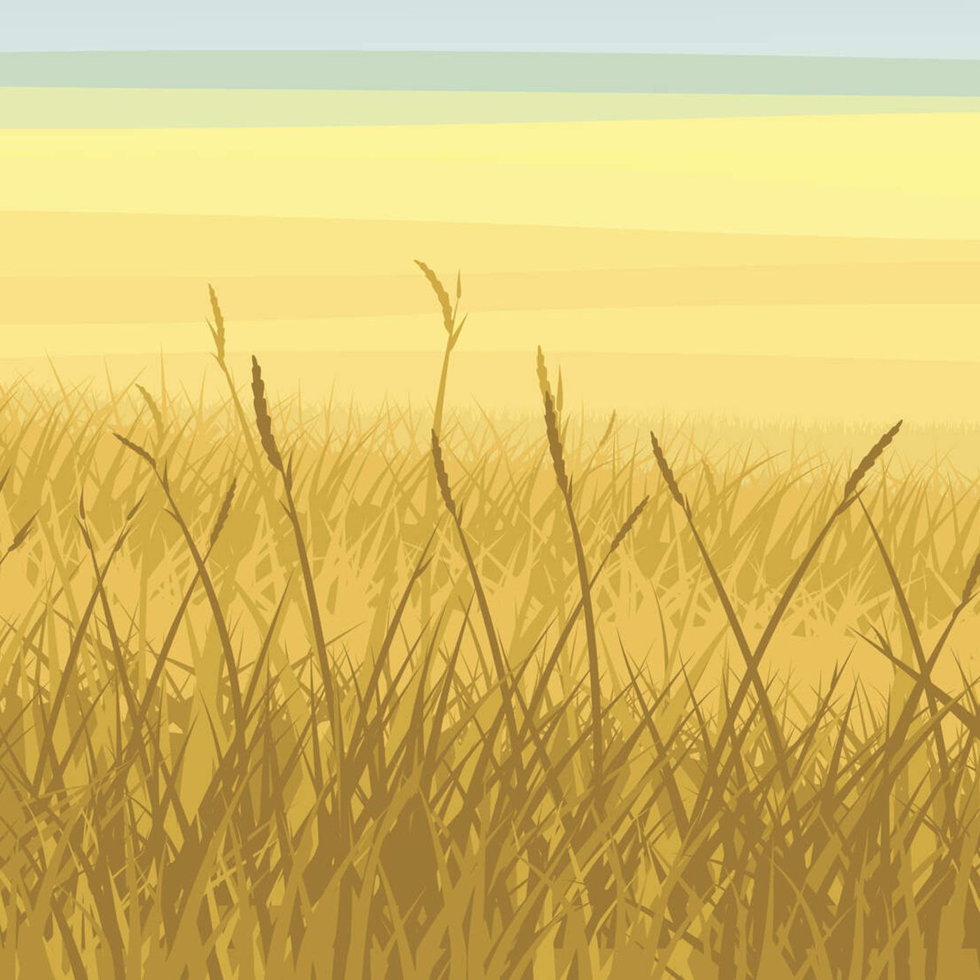 The Beef Over Native American Hunting Rights episode artwork