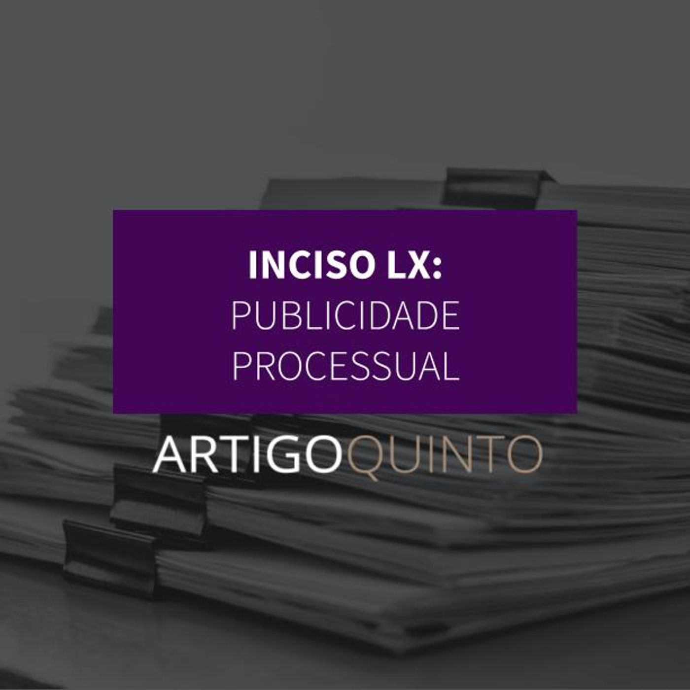 Inciso LX - Publicidade dos atos processuais