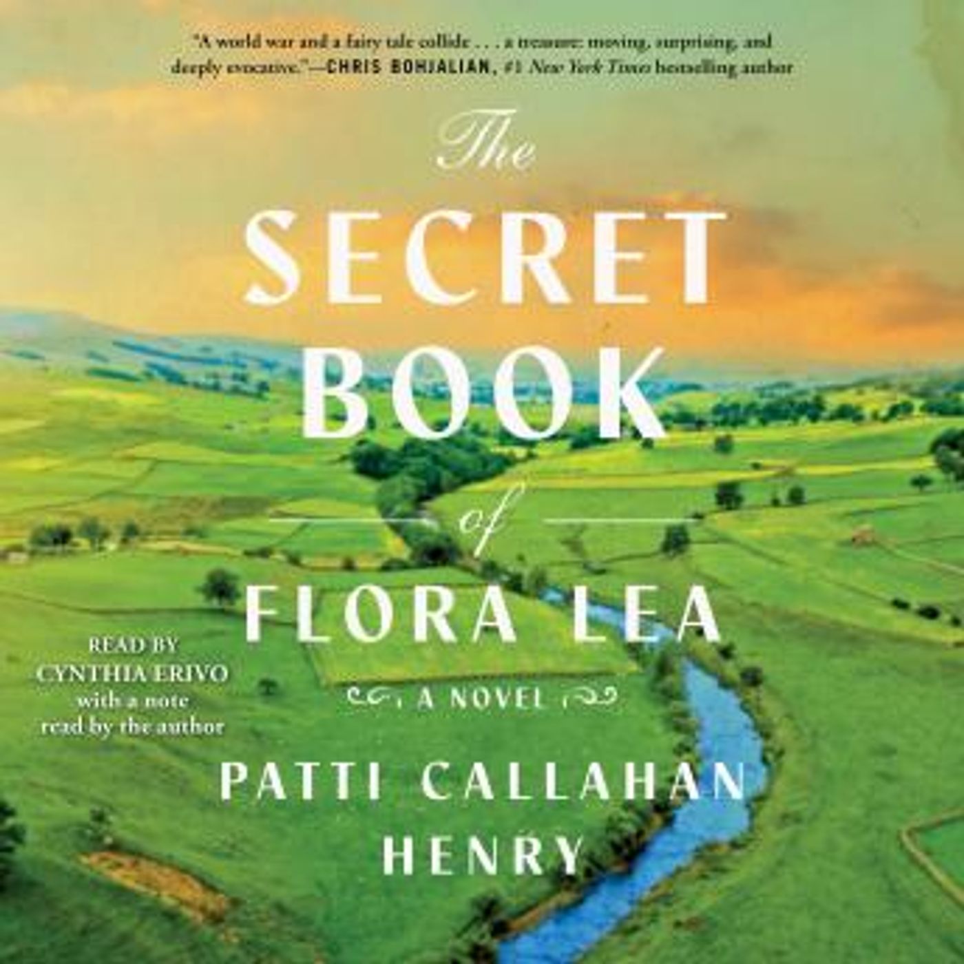 Download Best Full Audiobooks in Fiction, Contemporary Women