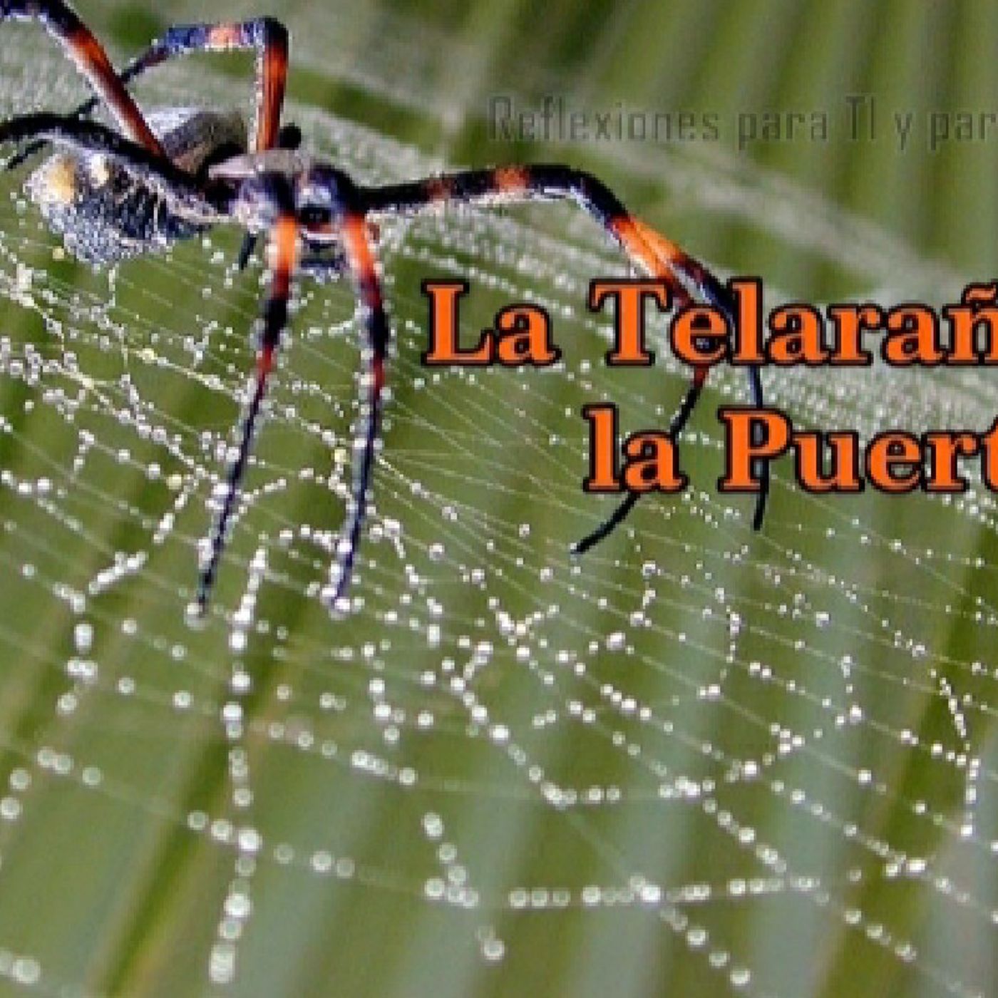 Reflexiones De Restauracion Para Tu Alma