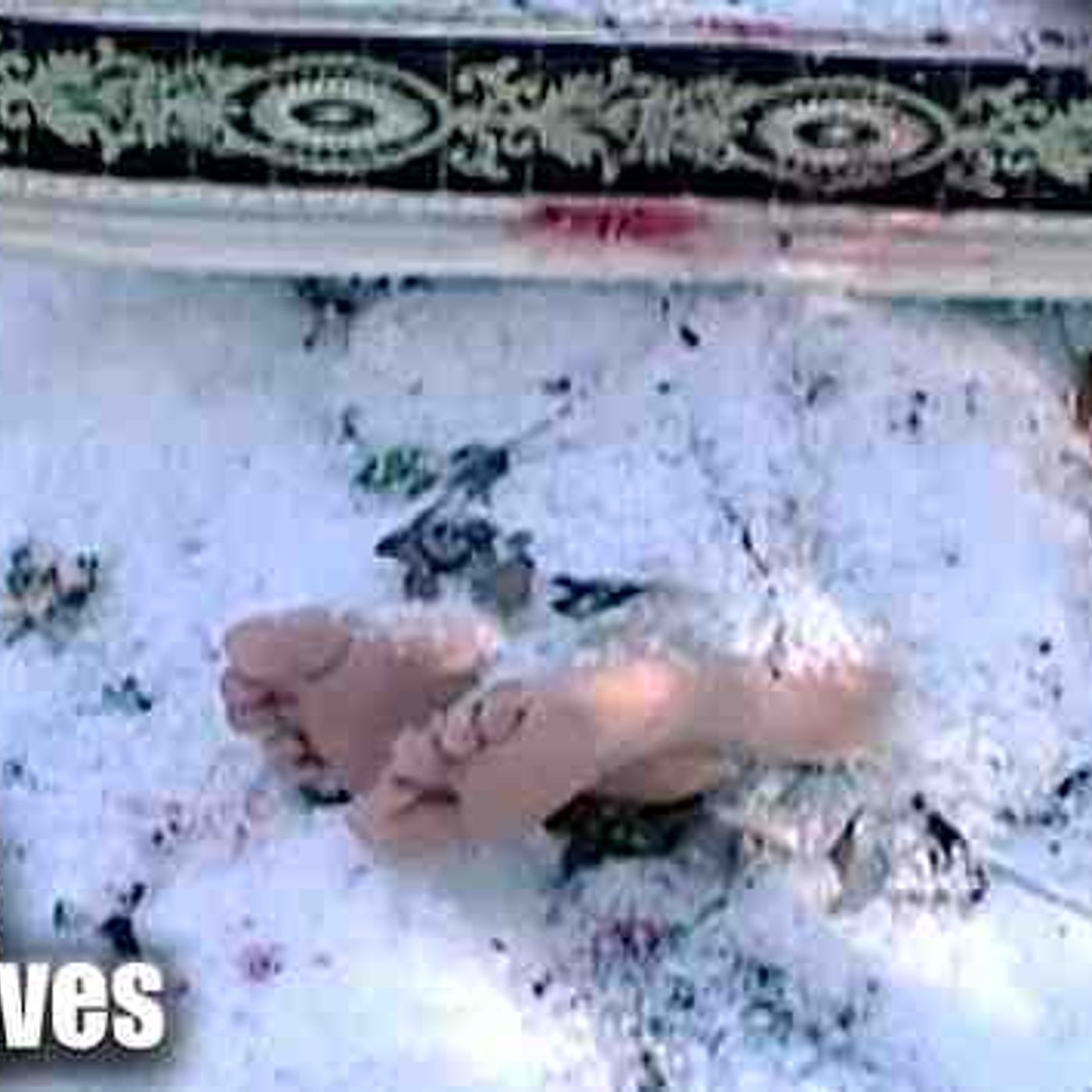 The Double Murder Hidden On A Mattress Under The Snow _ The New Detectives episode artwork