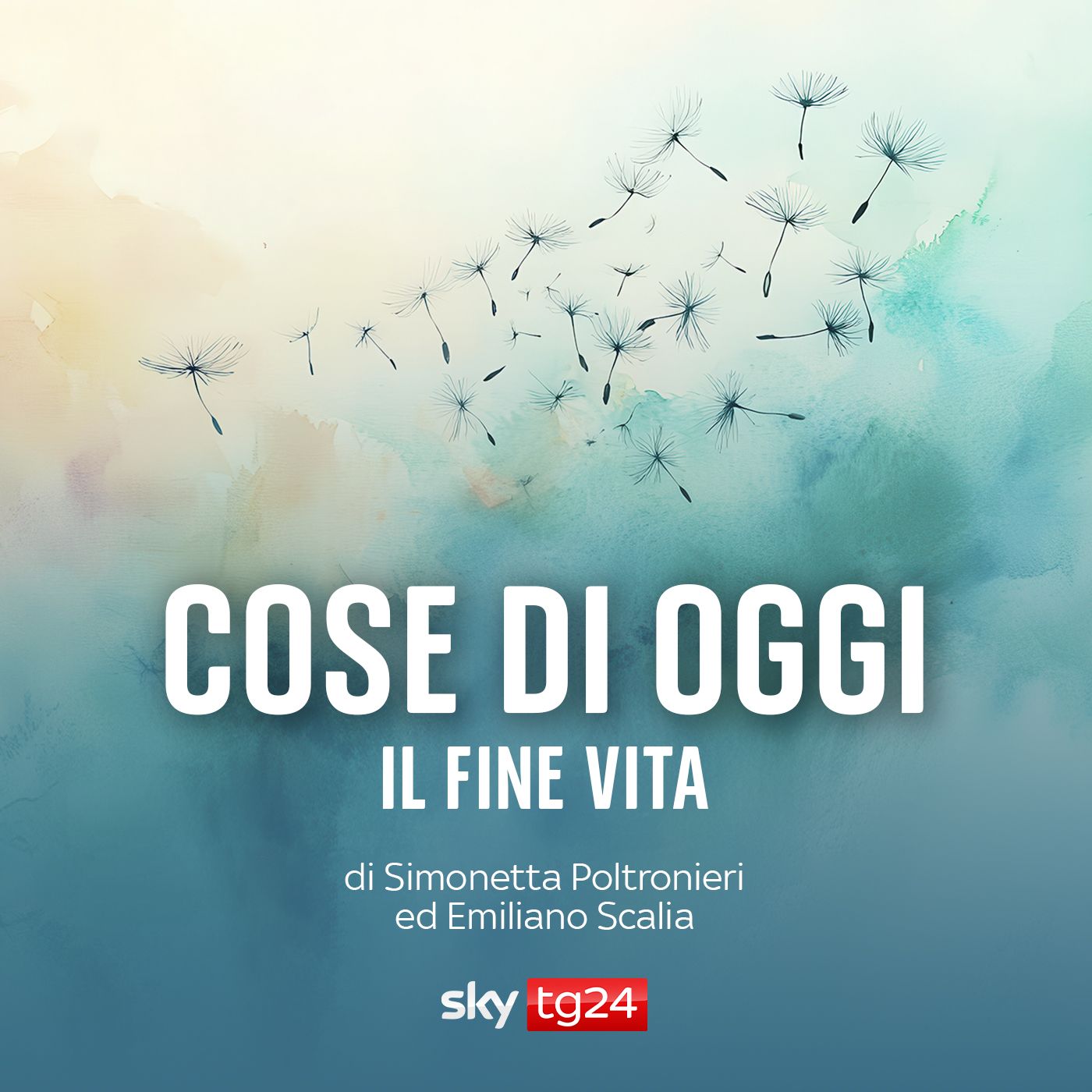 Cose di oggi
