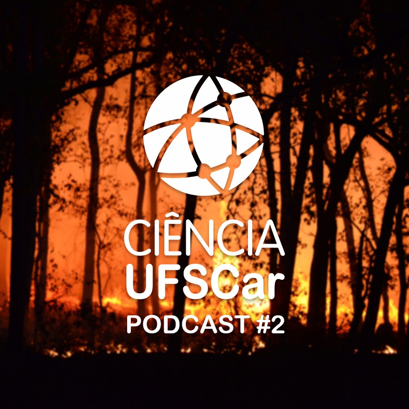 Ciência UFSCar