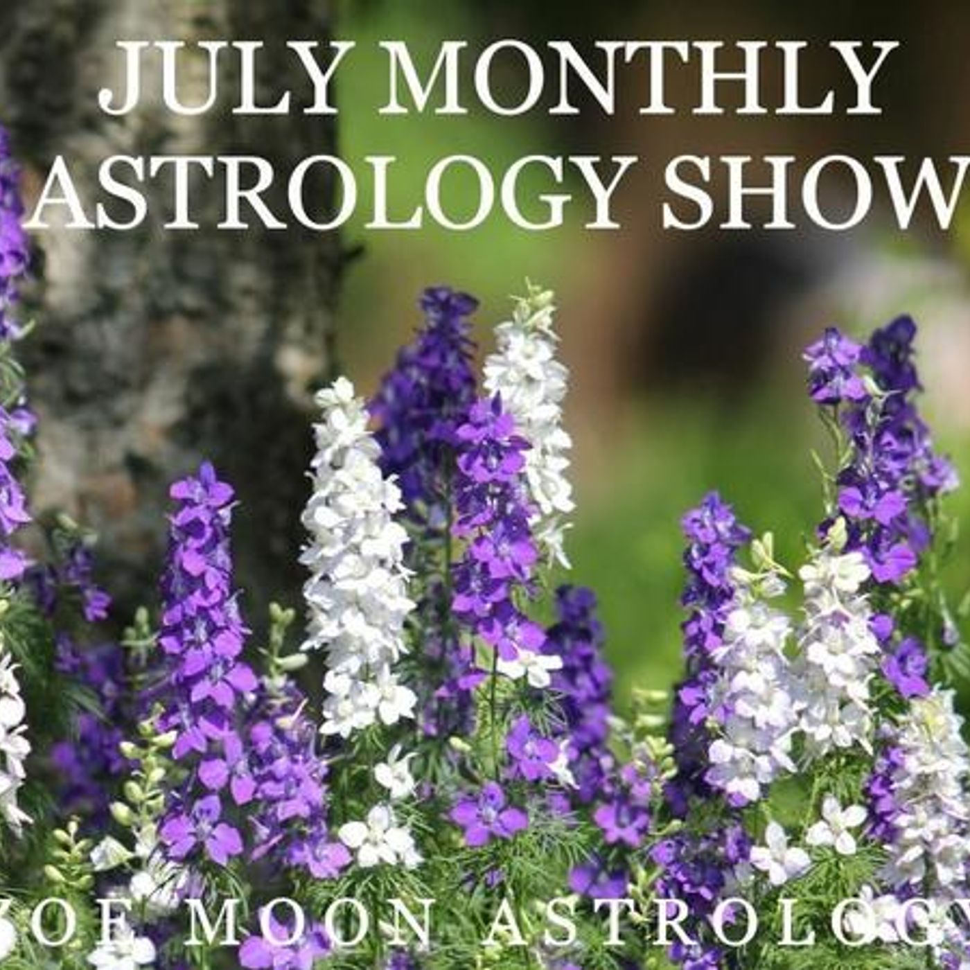 The Zoe Moon Astrology JULY MONTHLY for signs Aquarius & Pisces episode artwork