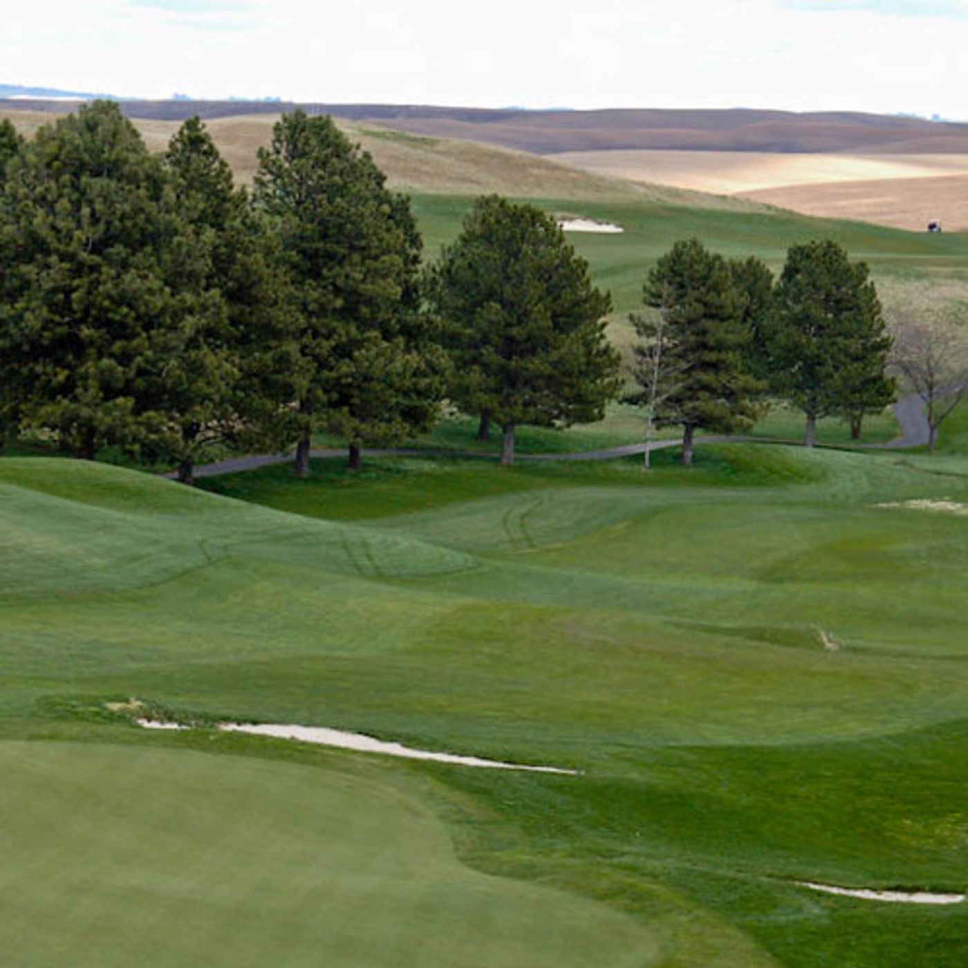 Washington Supreme Court Hears WSU Golf Course Case episode artwork